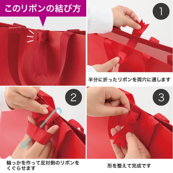 紙手提袋 ギフトレッドハンドル付キペーパーバッグ-2(10枚) ヘッズ
