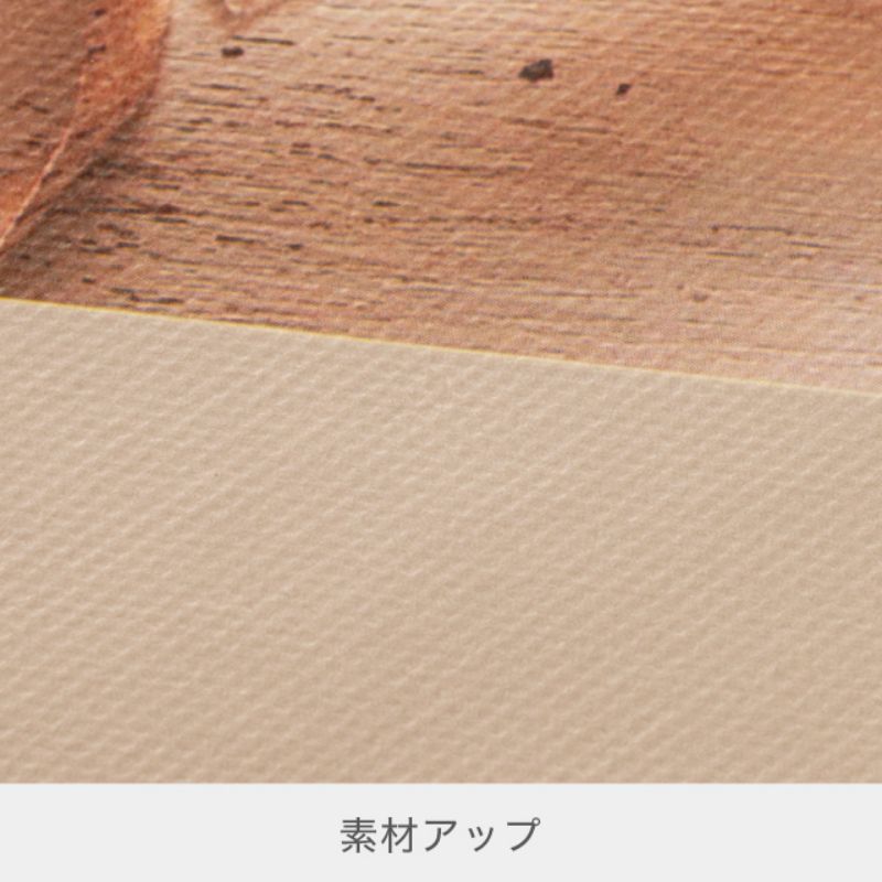 ヘッズ エコバッグ マイチョイスバッグ不織布L バスケット-1(10枚)