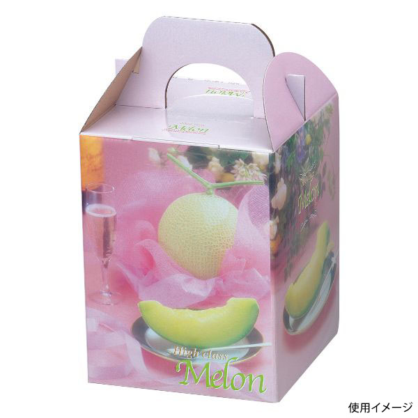 ギフト箱 L-407 ブリリアントメロン1ヶ入 ヤマニパッケージ