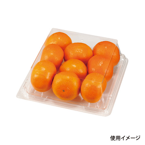 フルーツ容器 APロイヤル18-18R(57) 9H エフピコチューパ