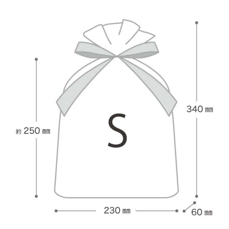 袋 マザーズデイリボン付PEギフトバッグ-S(20枚) ヘッズ
