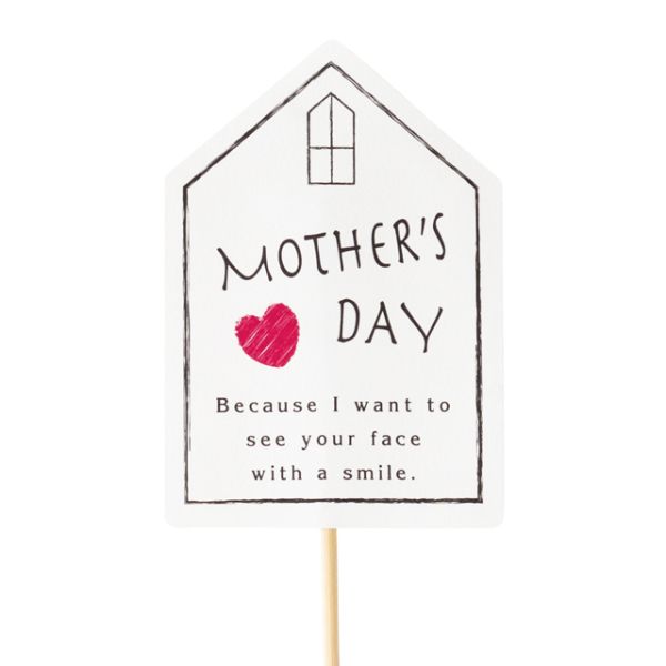 贈答用飾り 母ノ日フラワーピック-54 ハウス(20本) ヘッズ