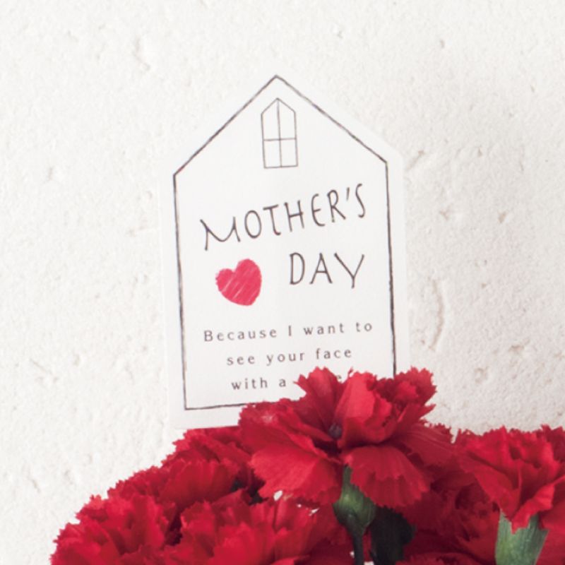 贈答用飾り 母ノ日フラワーピック-54 ハウス(20本) ヘッズ