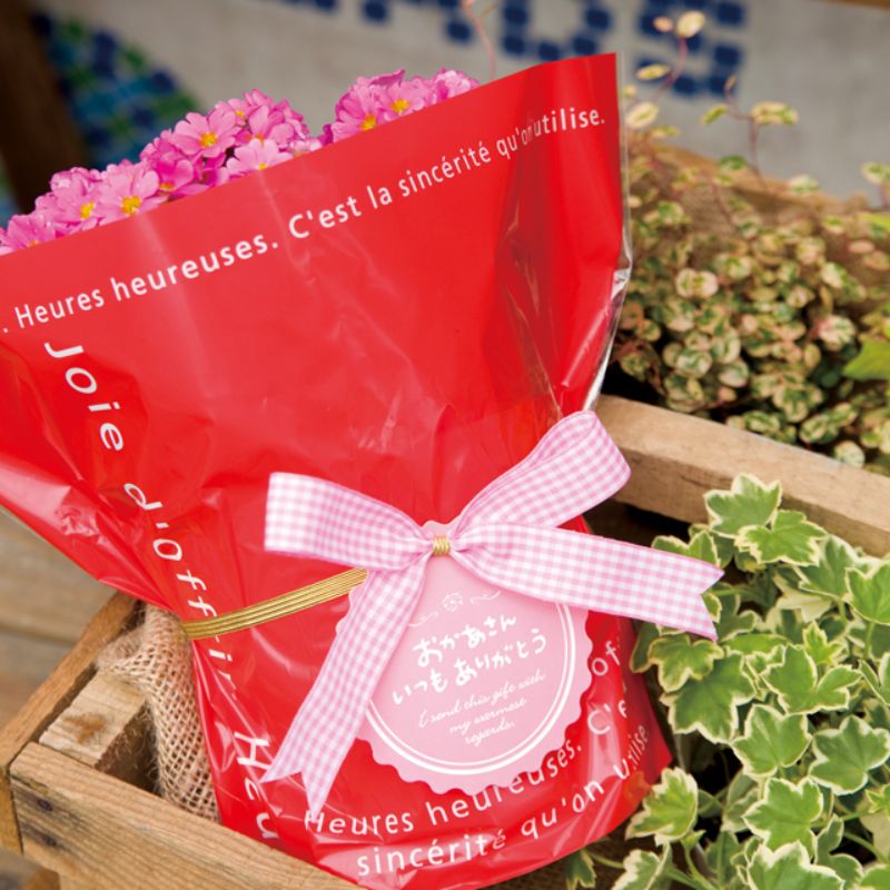 贈答用飾り 母ノ日ワンタッチタッグ付ゴムリボン-2 ピンク(20個) ヘッズ