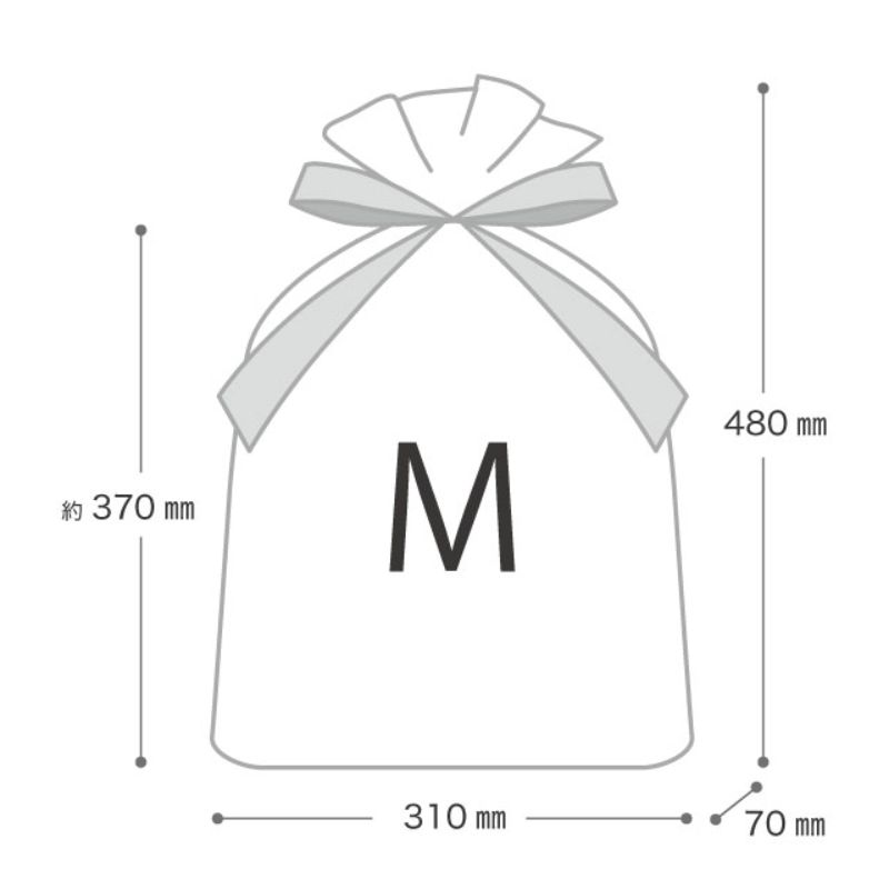袋 マザーズデイリボン付PEギフトバッグ-M(20枚) ヘッズ