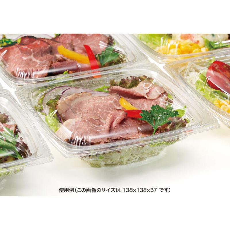 サラダ容器 バイオ ナチュール 19-30B リスパック