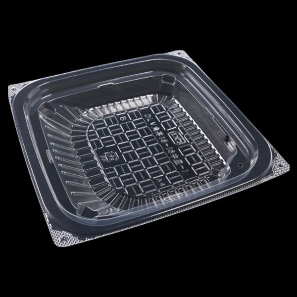 DLV角丼16-16中皿-1 PP