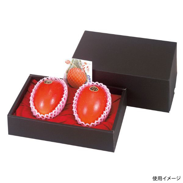 ギフト箱 L-2137 マンゴー2ヶ入黒 ヤマニパッケージ
