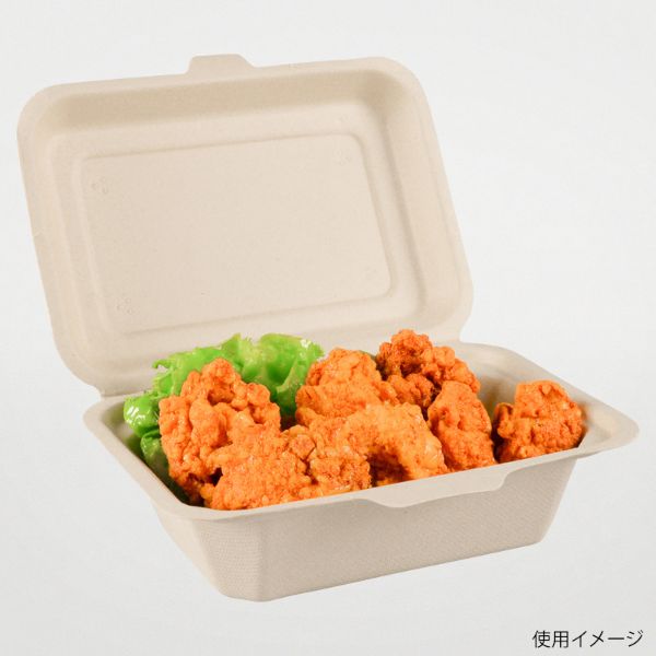 サンドイッチ容器 新BBランチ 180-130 パックスタイル