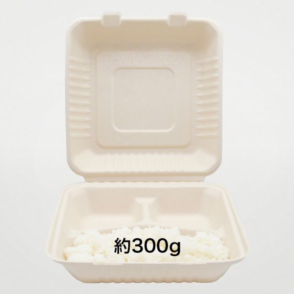 弁当容器 新BBランチ 230-230-3 パックスタイル