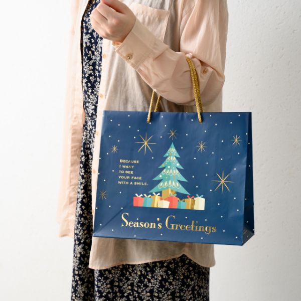 紙手提袋 クリスマスオーナメント ギフトペーパーバッグ-2(10枚) ヘッズ