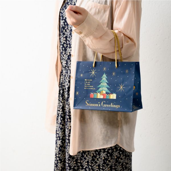 紙手提袋 クリスマスオーナメント ギフトペーパーバッグ-3(10枚) ヘッズ