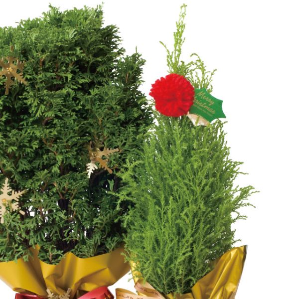 贈答用飾り ハンドメイドクリスマス ポンポン付ゴムタッグ(10個) ヘッズ