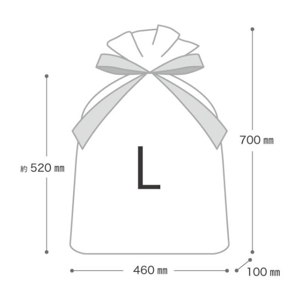 袋 ベーシッククリスマス リボン付PEギフトバッグ-L(20枚) ヘッズ