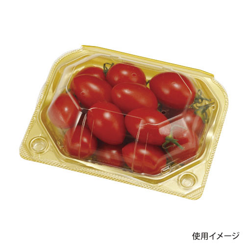 フルーツ容器 PSクリアルーフS(深) 9H GLW エフピコチューパ