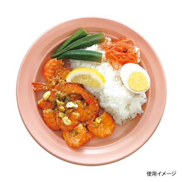 軽食容器 CT 沙楽 M24 NP-BK 身 中央化学