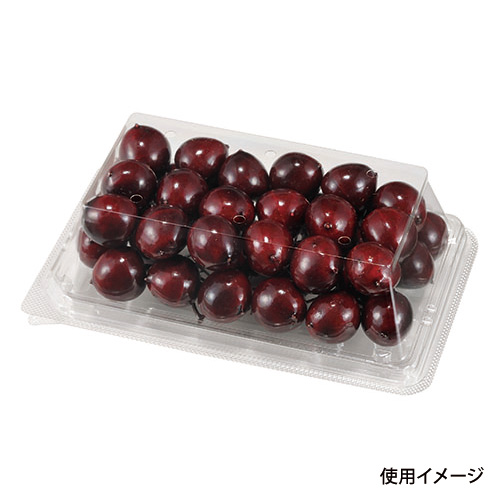 フルーツ容器 APロイヤル12-19R(50) 6H エフピコチューパ