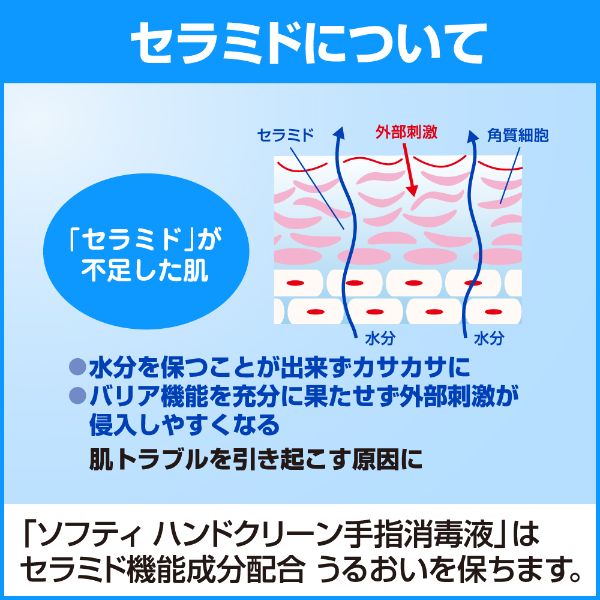 アルコール消毒剤 ソフティ ハンドクリーン手指消毒液 500ml 花王