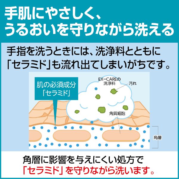 ハンドソープ ソフティ EX-CARE コンパクト泡ハンドウォッシュ 花王