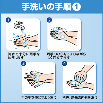ハンドソープ ソフティ EX-CARE コンパクト泡ハンドウォッシュ 花王