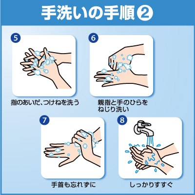 ハンドソープ ソフティ EX-CARE 泡ハンドウォッシュ 500ml 花王