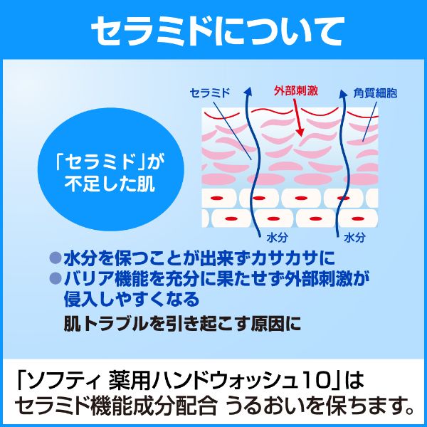 ハンドソープ ソフティ 薬用ハンドウォッシュ10 1L 花王