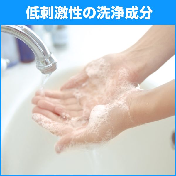 ハンドソープ ソフティ 薬用ハンドウォッシュ10 400ml 花王