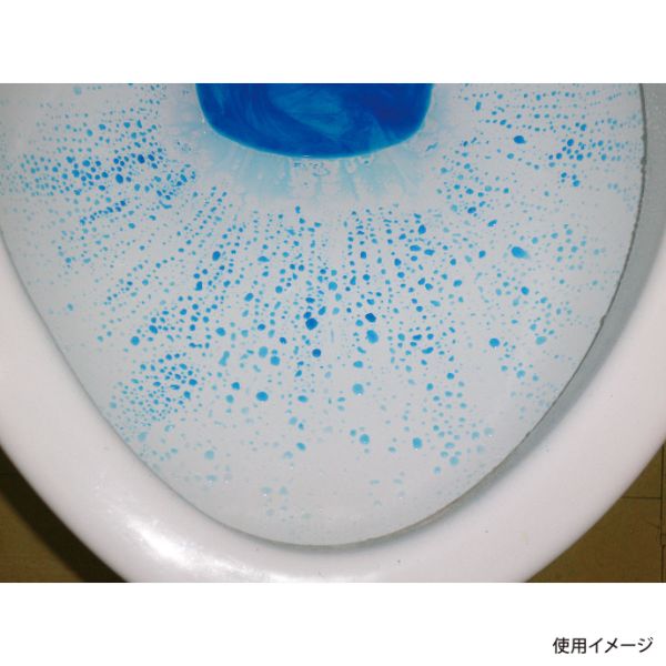 住居用洗剤 ファースト防汚コート 250ml 大一産業