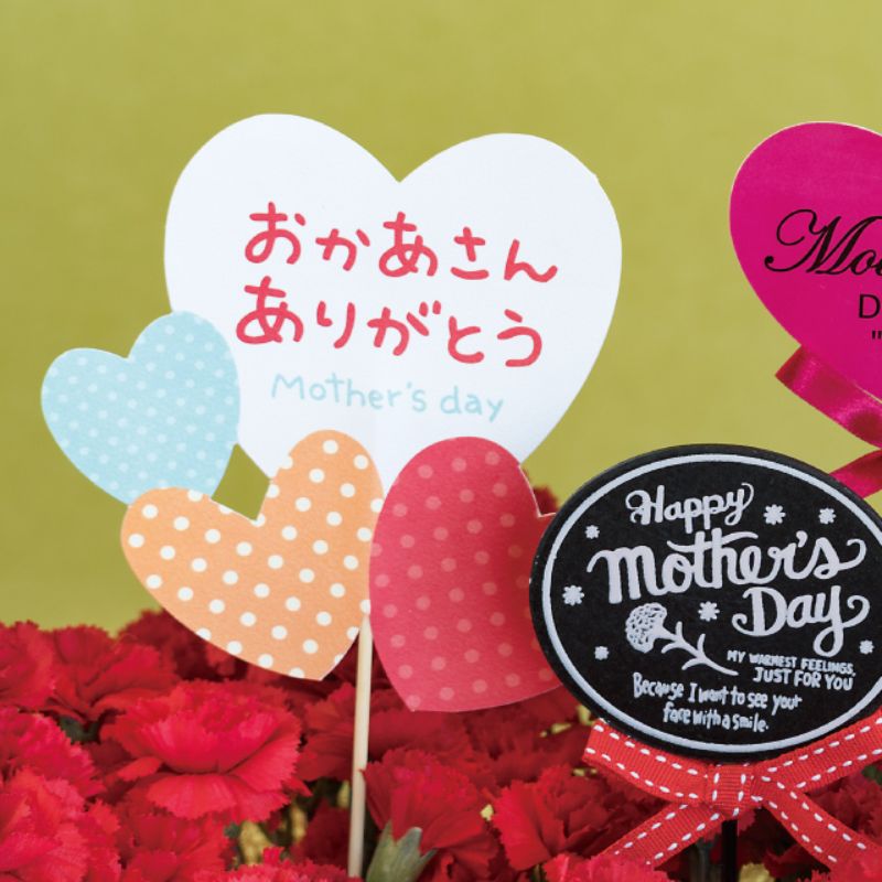 贈答用飾り 母ノ日フラワーピック-41 カラフルハート(10本) ヘッズ