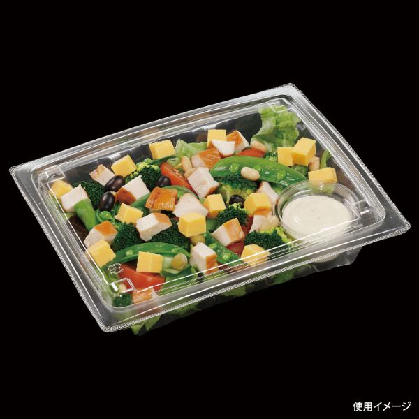 サラダ容器 APアーチ25-19(50) 本体 エコ エフピコ