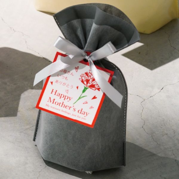 不織布袋 2重不織布リボン付バッグ-XS グレー(20枚) ヘッズ