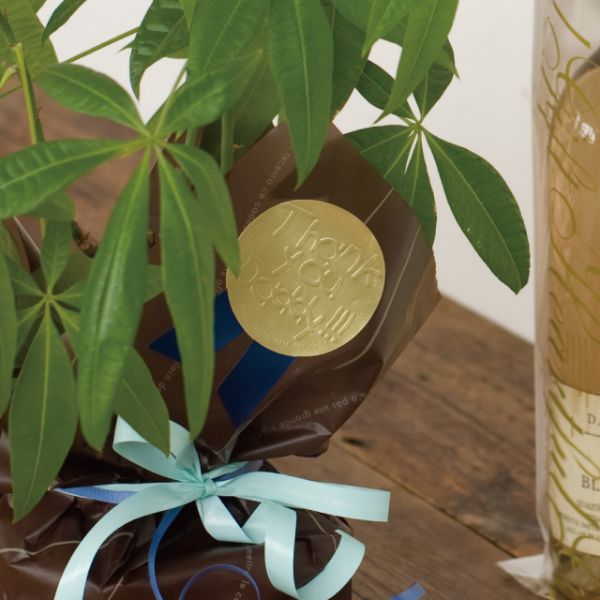 父の日シール-3 ブルーリボン(60枚) ヘッズ