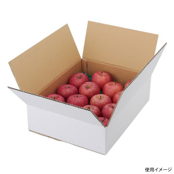 ギフト箱 L-2234 A式りんご白無地5㎏ ヤマニパッケージ