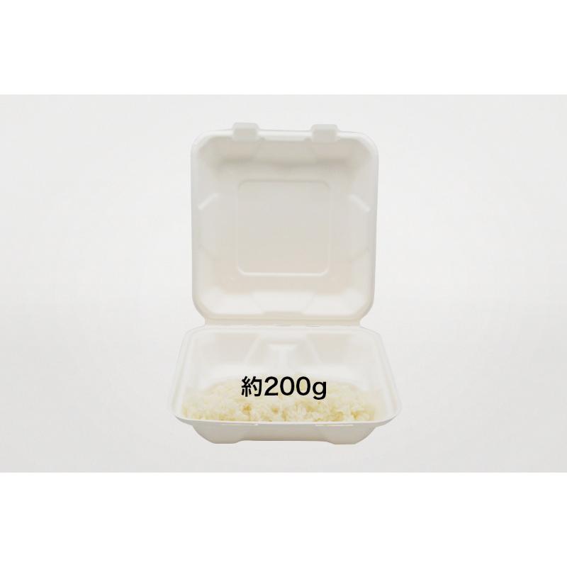 弁当容器 新ABランチ200-200-3 パックスタイル