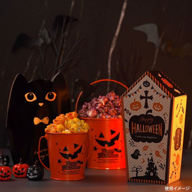 フラワー什器 ブラックハロウィンブリキバケツ-S(6個) ヘッズ