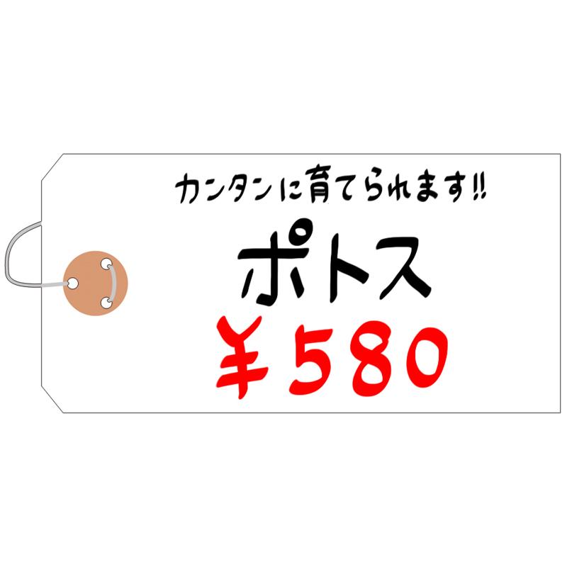 提札 25-1330 耐水紙荷札 大 1000枚入 ササガワ