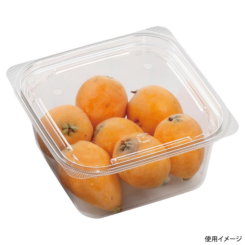 サラダ容器 APベジBOX 150-880  エコ エフピコ