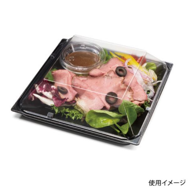 惣菜容器 バイオ リファイン 18-16B 黒 リスパック