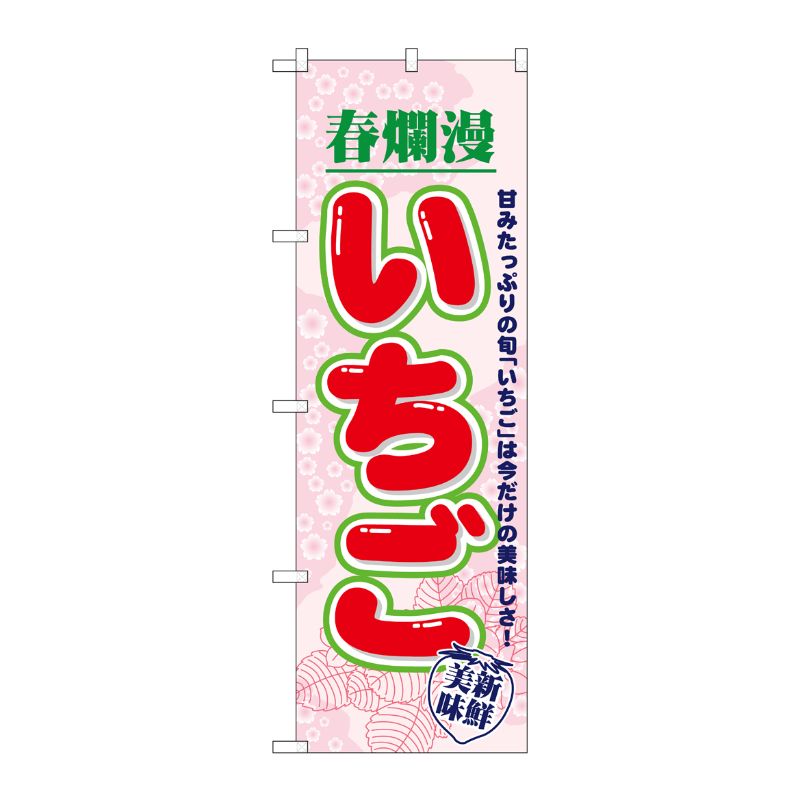 [N] いちご 春爛漫 のぼり No.7894 P・O・Pプロダクツ