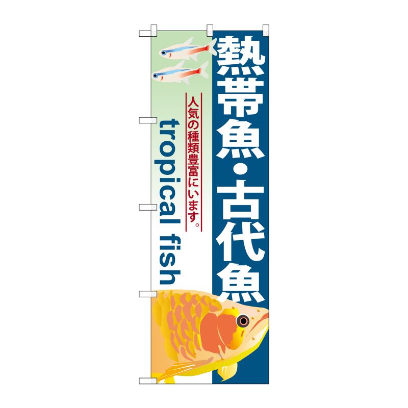 [G] 熱帯魚 ・古代魚 のぼり GNB-567 P・O・Pプロダクツ