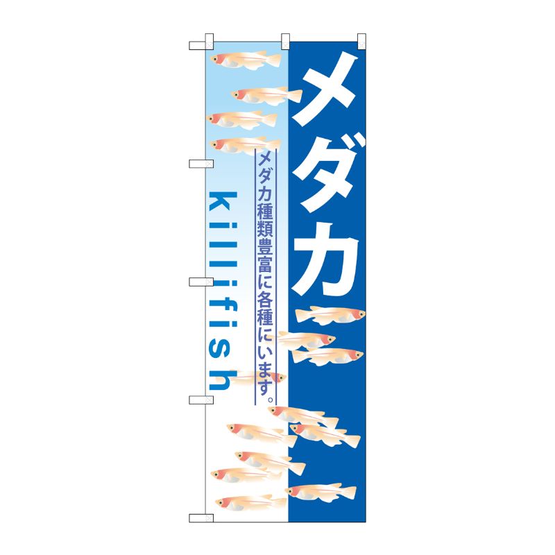 [G] メダカ のぼり GNB-571 P・O・Pプロダクツ