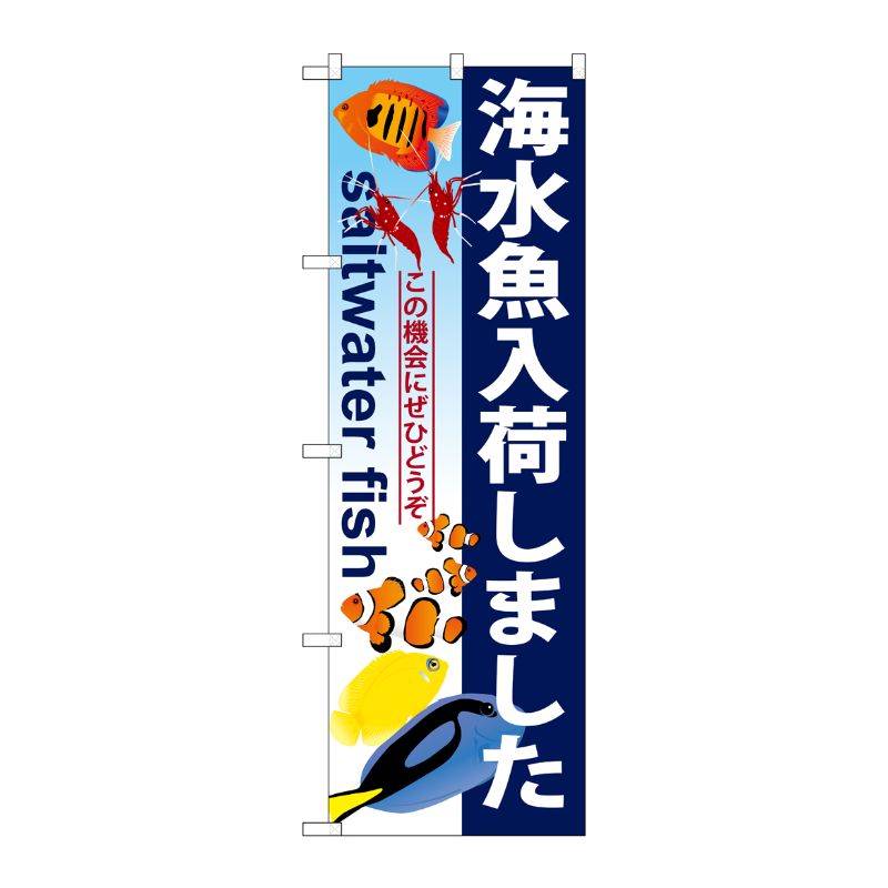 [G] 海水魚入荷しました のぼり GNB-572 P・O・Pプロダクツ