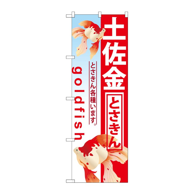 [G] 土佐金 のぼり GNB-586 P・O・Pプロダクツ