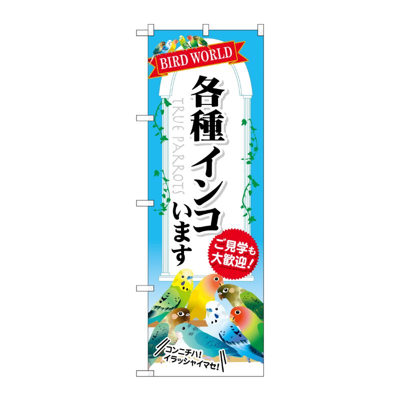 [G] 各種インコいます のぼり GNB-609 P・O・Pプロダクツ