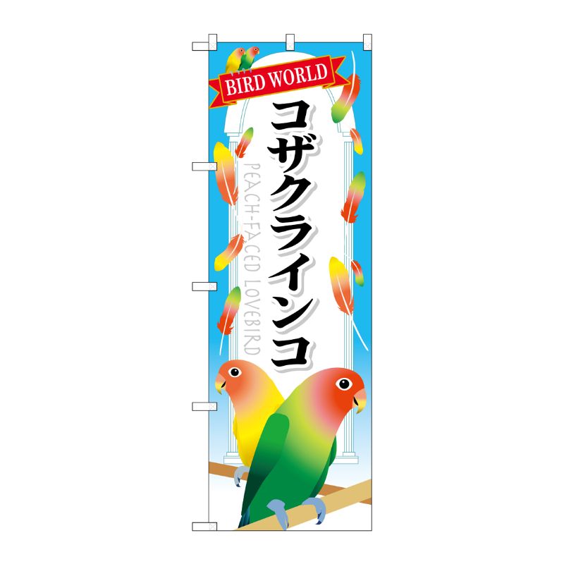 [G] コザクラインコ のぼり GNB-615 P・O・Pプロダクツ
