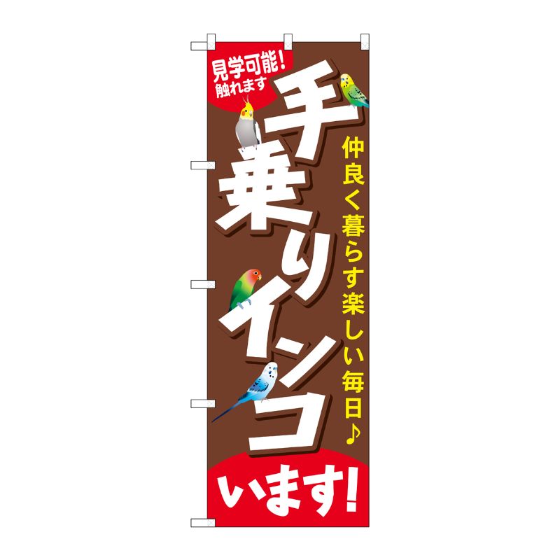 [G] 手乗りインコいます のぼり GNB-616 P・O・Pプロダクツ