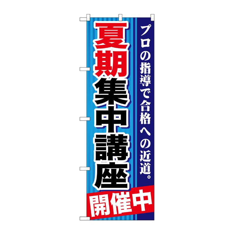[G] 夏期集中講座 開催中 青 のぼり GNB-1593 P・O・Pプロダクツ
