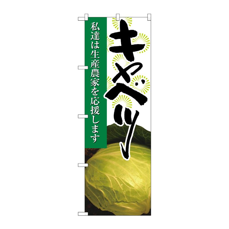 [N] キャベツ 写真 のぼり No.21929 P・O・Pプロダクツ