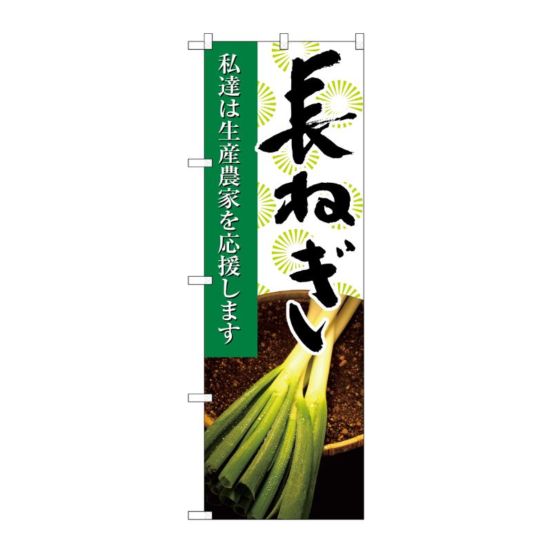 [N] 長ねぎ 写真 のぼり No.21931 P・O・Pプロダクツ
