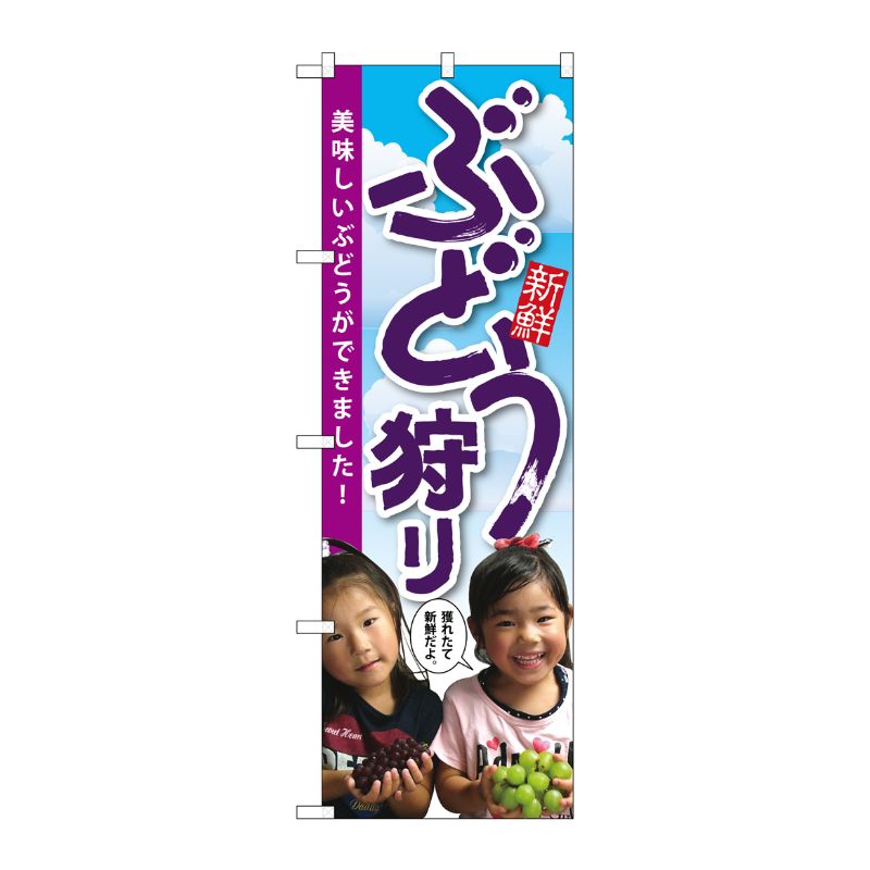 [G] ぶどう狩り 子供写真 のぼり SNB-2202 P・O・Pプロダクツ
